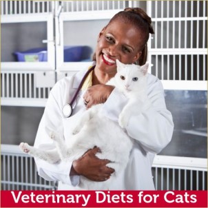 Veterinary Diets for Cats