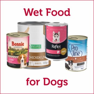 Wet or Canned Food for Dogs