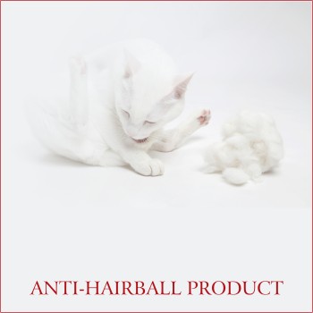 Spectrum Adult Cat | Hairball & Indoor (2kg)