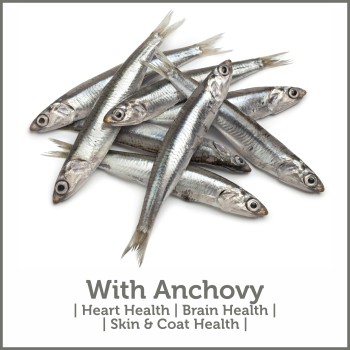Reflex Adult Cat Food | Salmon & Anchovy (2kg)