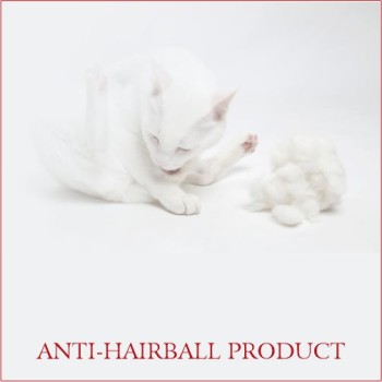 Spectrum Adult Cat | Hairball & Indoor (2kg)