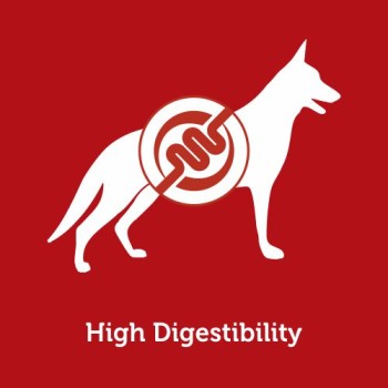 Bonnie Adult Dog Food | Lamb & Rice (2.5kg)