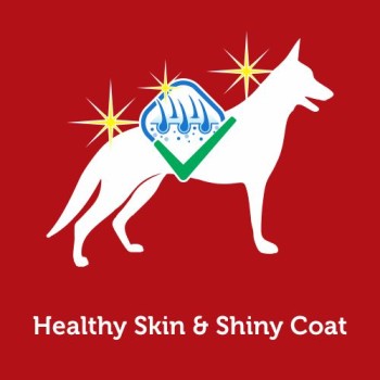 Bonnie Adult Dog Food | Lamb & Rice (2.5kg)