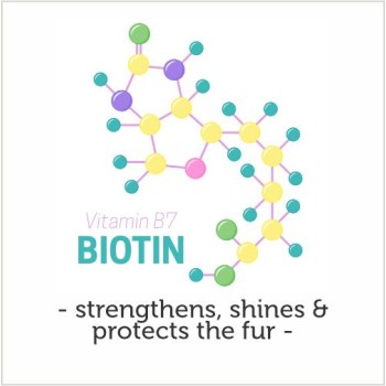 Menforsan Dog Shampoo | All-Breed | Biotin (300ml)