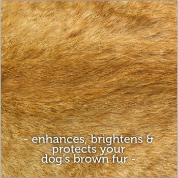 Menforsan Dog Shampoo |Brown Coat Dogs (300ml)