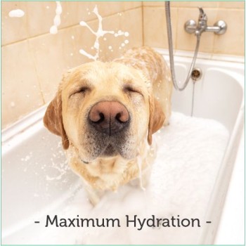 Menforsan Moisturizing Dog Shampoo (300ml)