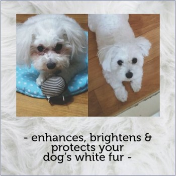 Menforsan Dog Shampoo |White Coat Dogs (300ml)