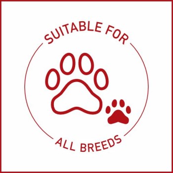 Trendline Puppy Food | Lamb & Rice (1kg)
