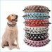 Bullet/Spiked Neck Collar