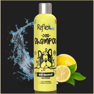 Reflex Care Shampoo | Anti-Dandruff (300ml)