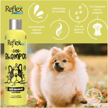 Reflex Care Shampoo | Anti-Dandruff (300ml)