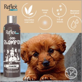Reflex Care Shampoo | Brown Coat Dogs (300ml)