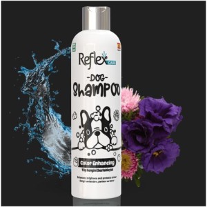 Reflex Care Shampoo | Colour Enhancer (300ml)