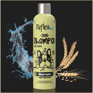 Reflex Care Shampoo | Puppies | Wheat Germ (300ml)