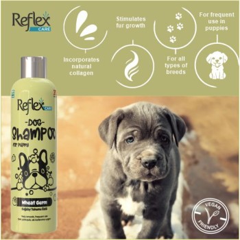 Reflex Care Shampoo | Puppies | Wheat Germ (300ml)