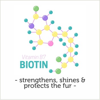 Reflex Care Shampoo | All-Breed | Biotin (300ml)