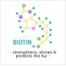 Reflex Care Shampoo | All-Breed | Biotin (300ml)