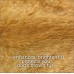 Reflex Care Shampoo | Brown Coat Dogs (300ml)