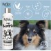 Reflex Care Shampoo | Colour Enhancer (300ml)