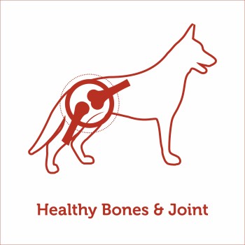 Reflex Active Hunting Adult Dog Food | 3kg, 15kg