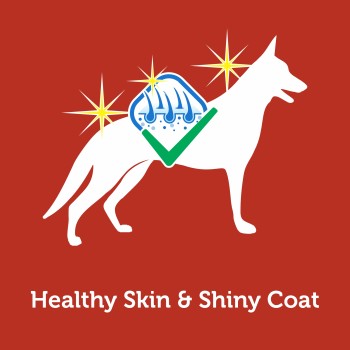 Reflex Active Hunting Adult Dog Food | 3kg, 15kg
