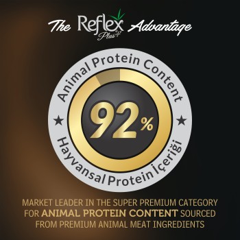Reflex Plus British Shorthair Kitten Food (1.5kg)
