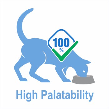 Spectrum Adult Cat | Slim (2kg)