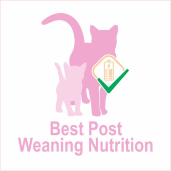 Spectrum Kitten Starter | 400g