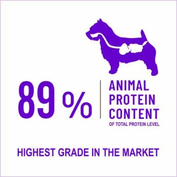 Spectrum Low Grain Small/Mini Breed Adult | Lamb-Blueberry (2.5kg)