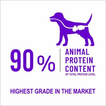 Spectrum Low Grain Medium/Large Breed Puppy | Lamb & Blueberry (2.5kg)