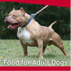 Food For Adult Dogs
