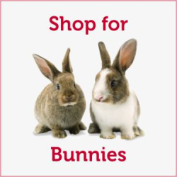 Shop for Bunnies/Rabbits