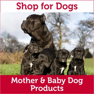 Dog Food for Pregnancy, Lactating, Weaning