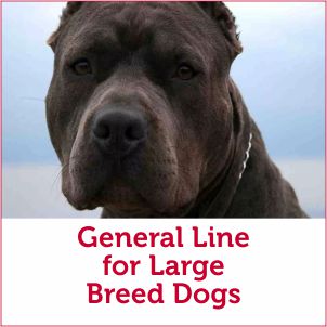 Dog Food for Maxi, Large, Giant Breed Dogs
