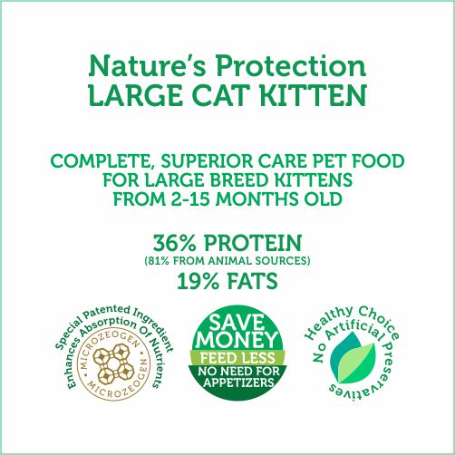 Large breed cat food best sale