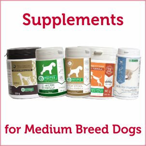 Vitamins & Supplements for Medium Size Breed of Dogs