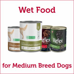 Wet & Canned Food for Medium Size Breed of Dogs