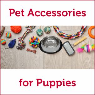 Pet Accessories for Puppies