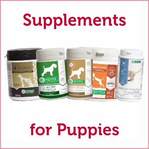 Vitamins & Supplements for Puppies