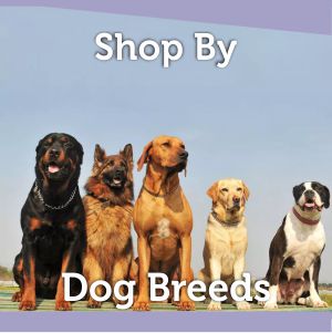Right food for different breeds of dogs