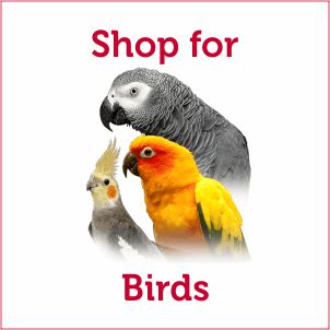 Pet Food for Parrot, Parakeet, Canary, Budgie, etc