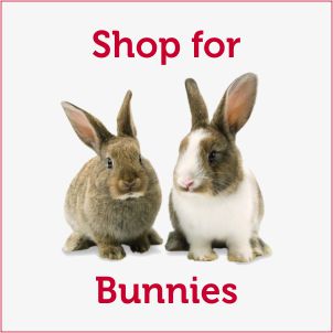 Pet Food & Accessories for Rabbit, Bunny, etc