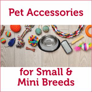Pet Accessories for Small & Mini Breeds of Dogs