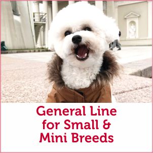 Dog Food for Small & Mini Breeds of Dogs