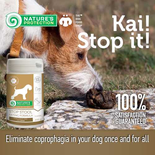 Stop Dogs From Eating Poop Coprophagia The Dog Food Shop