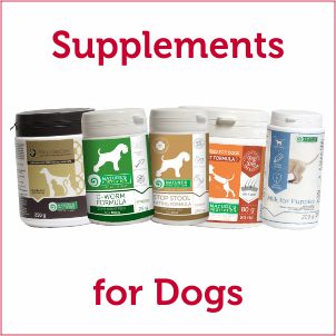 Vitamins & Supplements for Dogs
