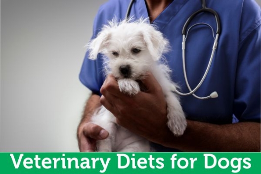 Veterinary Diet for Dogs