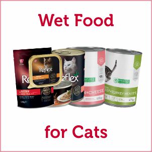 Wet Canned Food for Cats